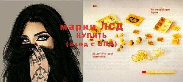 spice Богородск