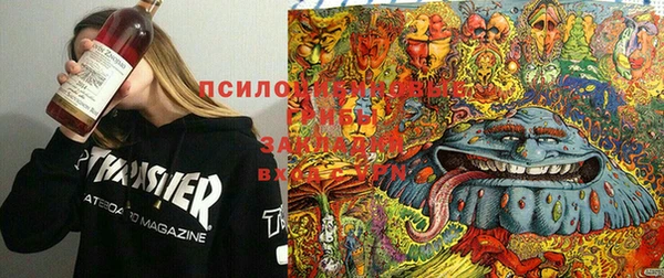 a pvp Богданович