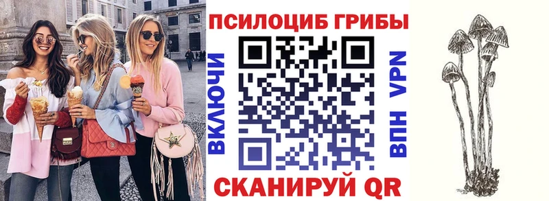 Псилоцибиновые грибы Psilocybe  гидра зеркало  Фурманов  цена  